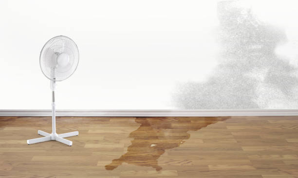 Best Flood restoration services  in Oquawka, IL
